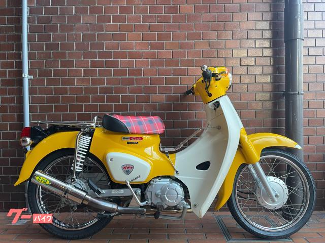 ホンダ スーパーカブ１１０ ｊａ４４ 国内正規モデル デカドラム カスタム多数 ｙｐ ｍｏｔｏｒ ｃｙｃｌｅ 新車 中古バイクなら グーバイク