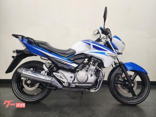 ＧＳＲ２５０　エンジンガード　リアキャリア付き
