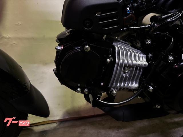 ホンダ ダックス125 2026最新モデル 自動遠心クラッチ4速