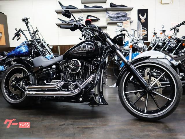 ＦＸＳＢ　ブレイクアウト　リアフェンダー２６０サイズ　サンダーマックスブラックアウト