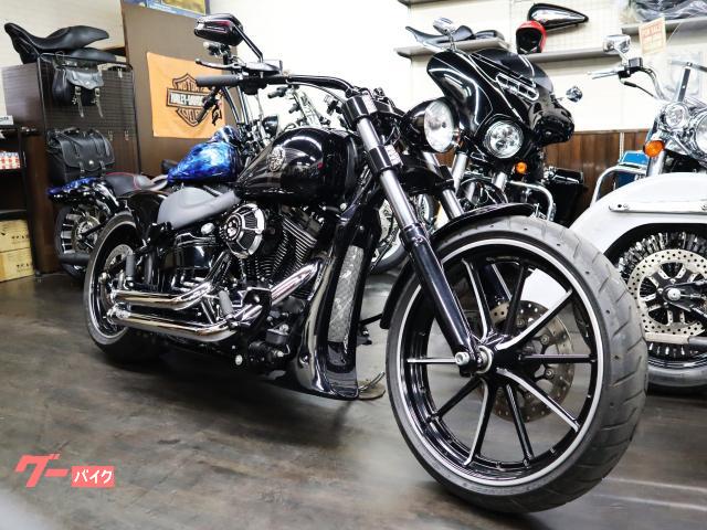 今週末まで限定値下げ！ 　ダイナFXDB リアフェンダー Amazon | HCmotorku オートバイ リアフェンダー Harley Softail