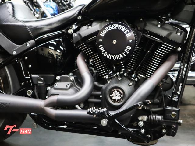 HARLEY－DAVIDSON FXLRS ソフテイル ローライダー