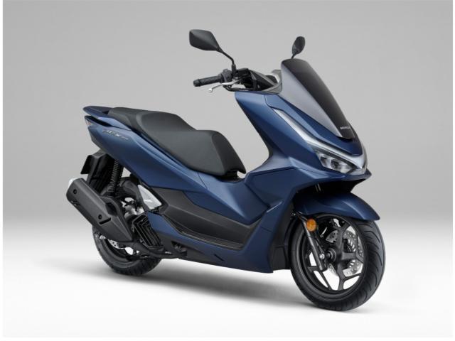 ★新発売★ スプリームスタイル　新型ペンタゴン　超ロングL 屋久杉　激杢 ☆新発売☆ スプリームスタイル 新型ペンタゴン 超ロングL 屋久
