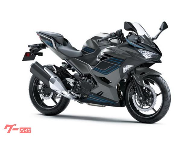Ｎｉｎｊａ　４００