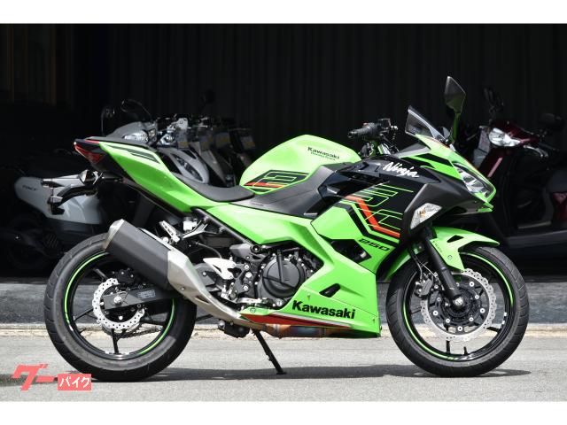 Ｎｉｎｊａ　２５０