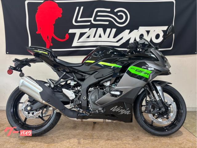 Ｎｉｎｊａ　ＺＸ−２５Ｒ　ＳＥ　倒立フロントフォーク