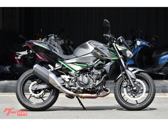 Ｚ２５０