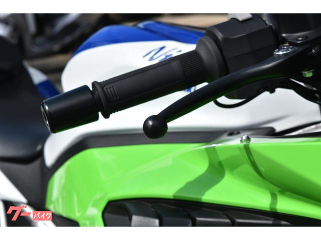 レオ カワサキ Ninja ZX－4RR 40th