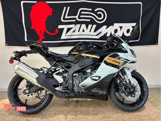 Ｎｉｎｊａ　ＺＸ−４Ｒ　ＳＥ