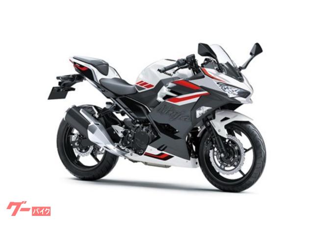 Ｎｉｎｊａ　２５０
