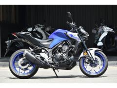 ヤマハ　ＭＴ−０３（３２０ｃｃ）