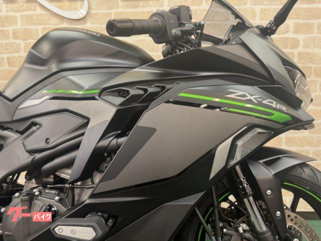 カワサキ ニンジャZX－4R SEモデル エンジンスライダー｜モト