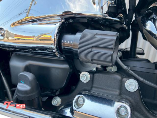HARLEY-DAVIDSON FXBR 117Ci 2024 — миниатюра 6