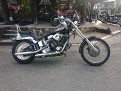 ＨＡＲＬＥＹ−ＤＡＶＩＤＳＯＮ　ＦＸＳＴＣ　ソフテイルカスタム　１．３４０ｃｃエボリューション　キック付