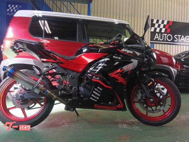 Ｎｉｎｊａ　２５０Ｒ　スペシャルエディション　フォークＯＨ　ＥＴＣ　ドラレコ　マフラー