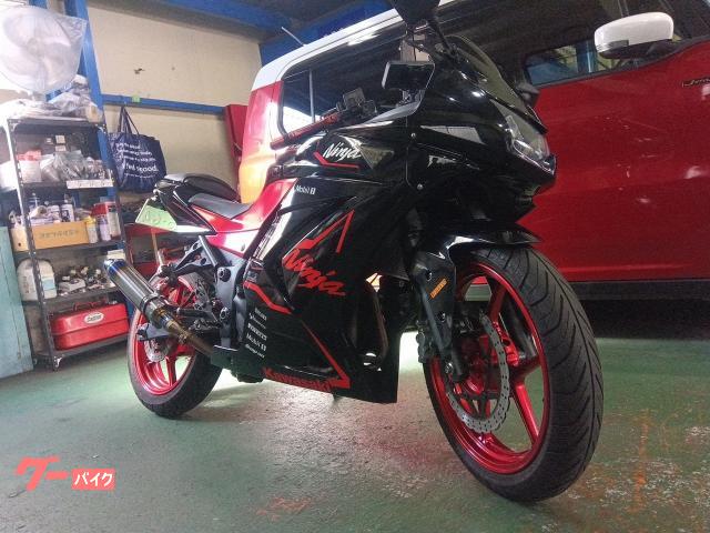 カワサキ ニンジャ250R EX250K 2012年 フォークオーバーホール FI車 整備済 カワサキ ニンジャ250R EX250K 2012年 フォークオーバーホール FI車