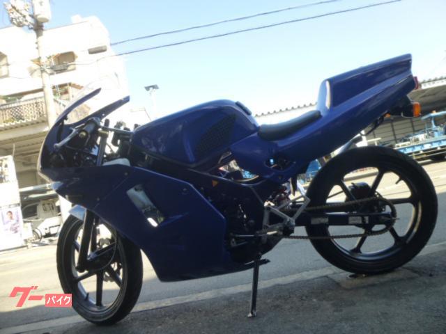 ホンダ NS－1 オールペイント 社外チャンバー ビックキャブ 耐久