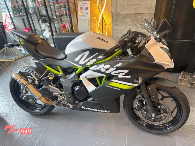 Ｎｉｎｊａ　２５０ＳＬ