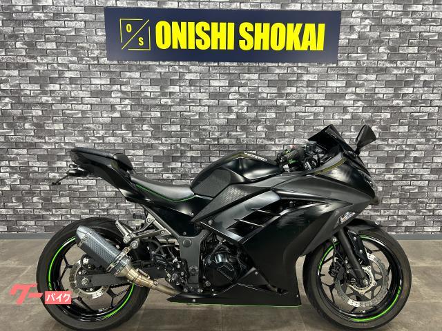 Ｎｉｎｊａ　２５０　社外マフラー　バックステップ　フェンダーレス