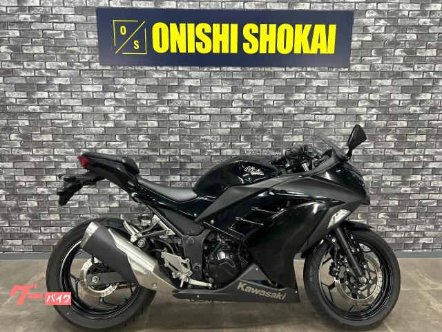 Ｎｉｎｊａ　２５０