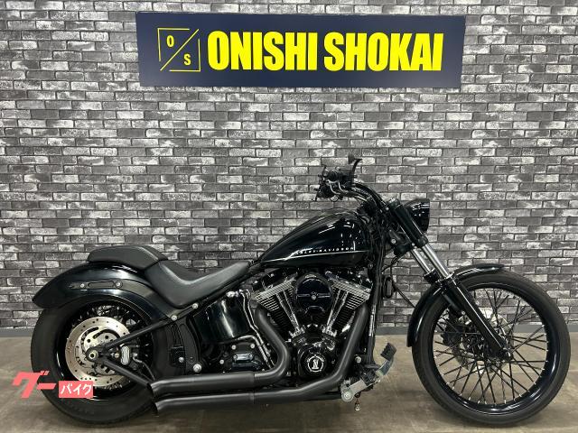 ＦＸＳ　ブラックライン　バッサーニマフラー　アレンネスエアクリ