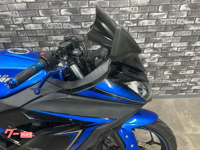 カワサキ Ninja 250｜大西商会｜新車・中古バイクなら