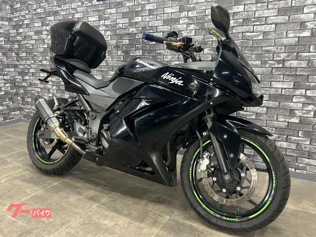 美容 あぽかど Amazon | KN企画 ライブディオZX ライブDIOZX AF34