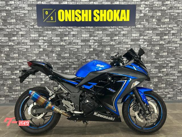 Ｎｉｎｊａ　２５０　社外マフラー　エンジンスライダー
