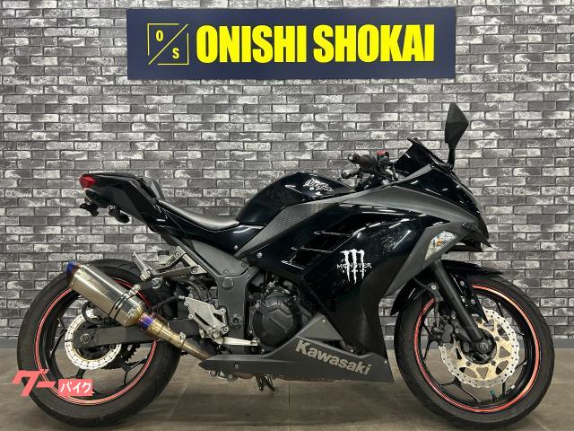 Ｎｉｎｊａ　２５０　社外マフラー