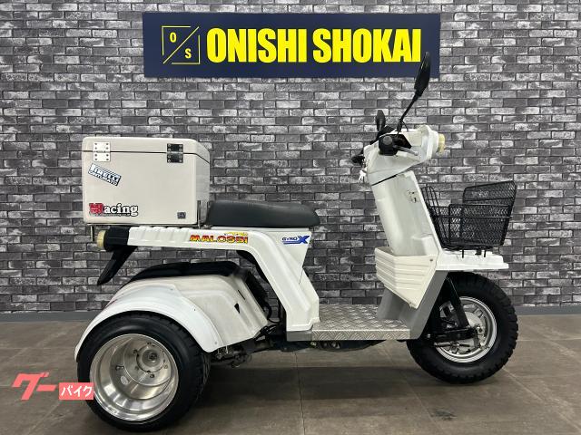 ジャイロＸスタンダード　ワイドホイール　オーバーフェンダー　トップケース