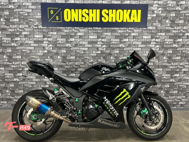 Ｎｉｎｊａ　２５０　社外マフラー　セパハン　スライダー