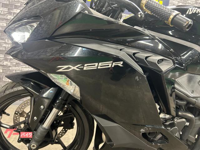 カワサキ Ninja ZX－25R LCIパーツマフラー