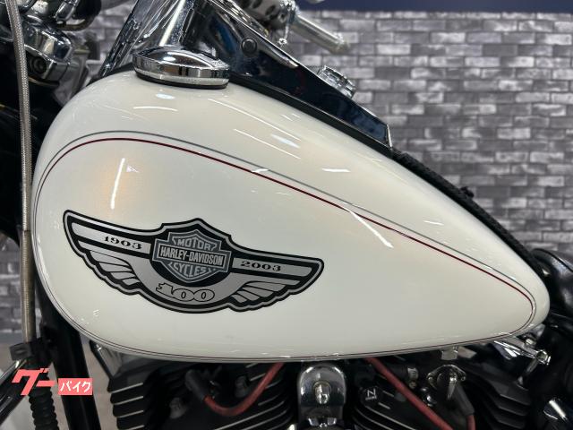 HARLEY－DAVIDSON FLSTF ファットボーイ サン