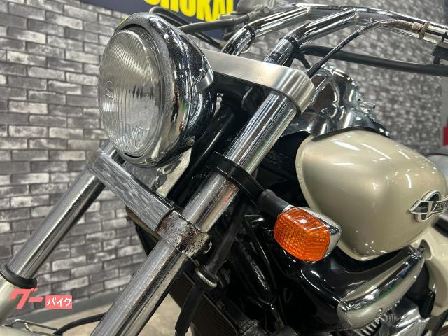 カワサキ エリミネーター250V｜大西商会｜新車・中古バイクなら