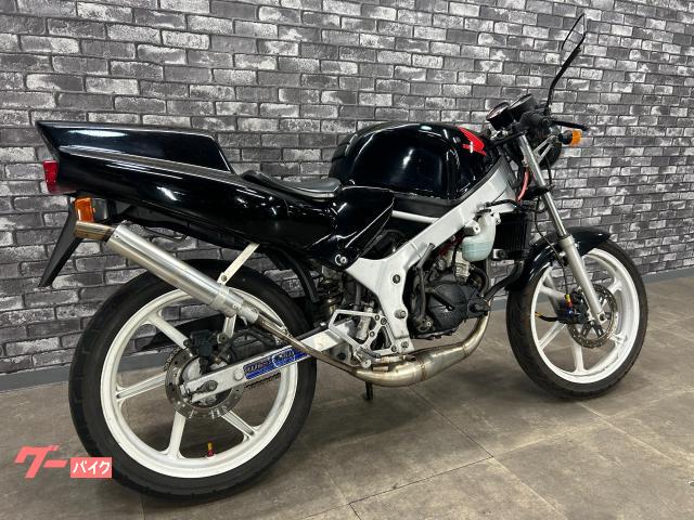ホンダ NS－1 社外チャンバー ネイキッド仕様｜大西商会｜新車
