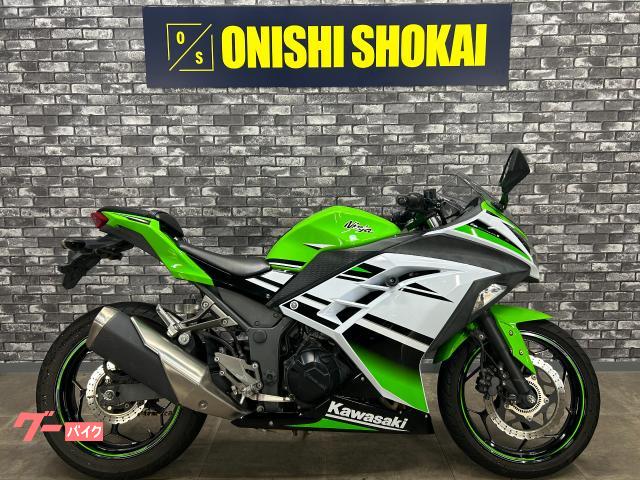 Ninja 250 エンジンスライダー