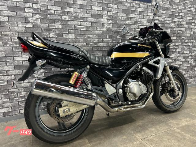 スズキ GSX250FX タックロールシート タンデムバー ビキニ