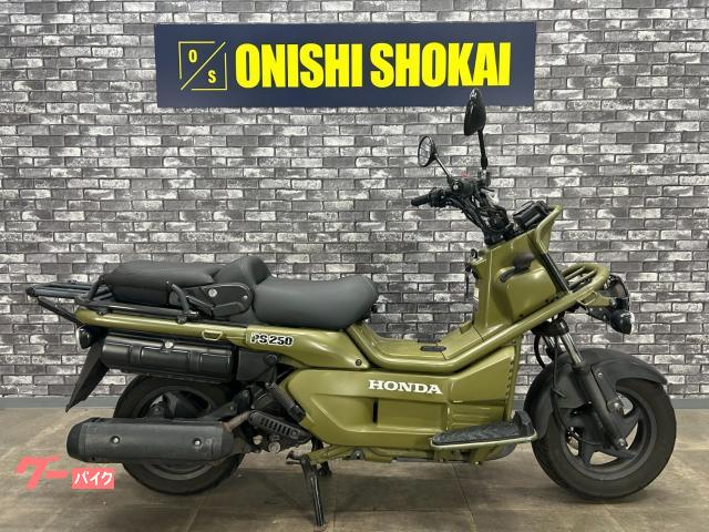ＰＳ２５０　リアキャリア