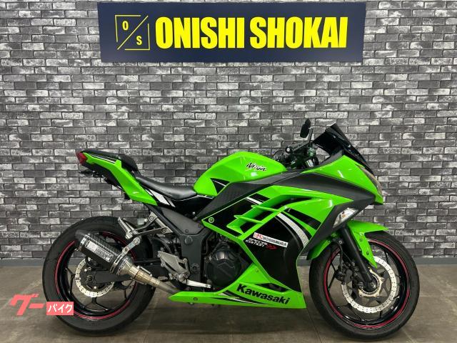 Ninja 250 社外マフラー フェンダーレス バーエンドミラー