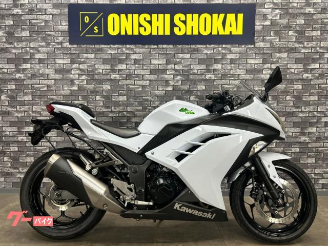 Ｎｉｎｊａ　２５０