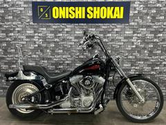 ＨＡＲＬＥＹ−ＤＡＶＩＤＳＯＮ　ＦＸＳＴ　ソフテイルスタンダード　　シーシーバー