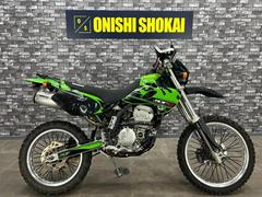 カワサキ　ＫＬＸ２５０　ホワイトブロスマフラー　社外シート　ナックルガード