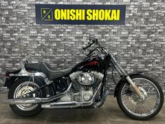 ＨＡＲＬＥＹ−ＤＡＶＩＤＳＯＮ　ＦＸＳＴ　ソフテイルスタンダード　ＣＣバー