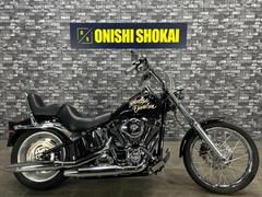 ＨＡＲＬＥＹ−ＤＡＶＩＤＳＯＮ　ＦＸＳＴＣ　ソフテイルカスタム　Ｓ＆Ｓエアクリ　サイドバックステー