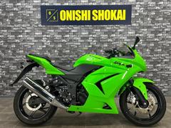 カワサキ　Ｎｉｎｊａ　２５０Ｒ