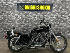 ＨＡＲＬＥＹ−ＤＡＶＩＤＳＯＮ　ＸＬ１２００Ｌ　ロー　ローランドサンズデザインエアクリ　社外マフラー　社外ハンドル