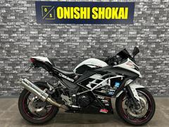 カワサキ　Ｎｉｎｊａ　２５０　ノジママフラー　エンジンガード　フェンダーレス