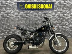 ヤマハ　ＴＷ２００Ｅ　ロンスイ仕様　スーパートラップマフラー　社外エアクリーナー