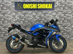 カワサキ　Ｎｉｎｊａ　２５０　社外マフラー　エンジンスライダー