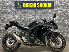 カワサキ　Ｎｉｎｊａ　２５０